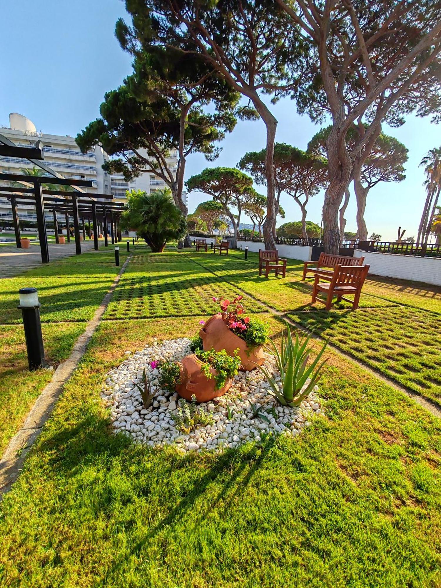 Seafront Apartment In Бланес Екстер'єр фото